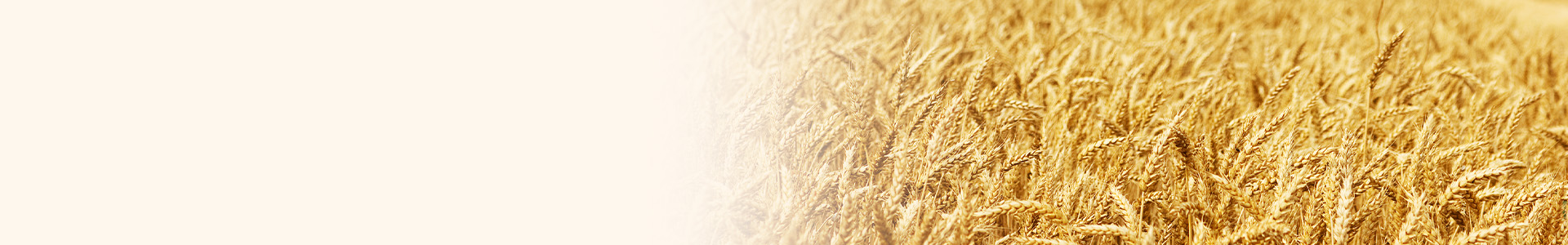 常州市科润达智能机器有限公司